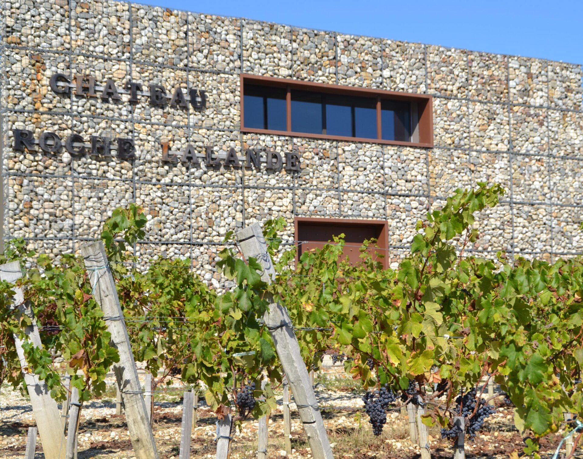 Vins - Domaines du Roche-Lalande Château Rodrigues-Lalande